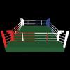 Professional Combat Sports Training Ring