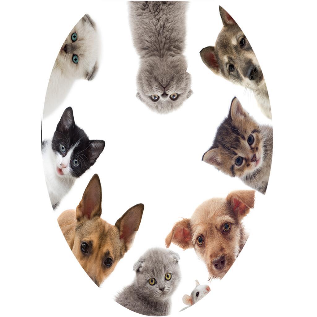 

3D Toilet Stickers Bathroom Decorative Decals Cat Dog