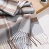 Autumn and winter new lamb wool scarf women's light luxury high-end plaid narrow scarf fringed versatile warm scarf