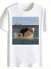 Lustige Schwarze Katze reitet auf Hai Grafikdruck T-Shirt Unisex Damen Freizeit Rundhals Oberteil Kreativer Meme Druck Sommer Streetwear T-Shirt
