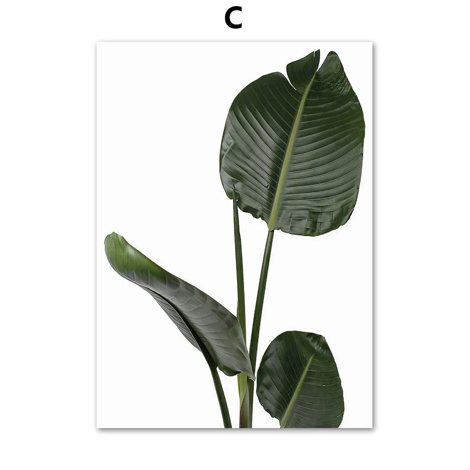 Monstera Plant Leaf Matisse Woman William Posters And Prints Canvas Painting Nordic Wall Art Pictures For Living Room Decor