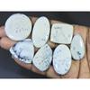 260Cts. Natural Dendrite Opal Agate Mix Cabochon Loose Gemstone 07 Pcs Lot C-1322