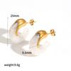Modern Geometric Resin Stainless Steel Earring For Women With Gold Plating And Elegant Style