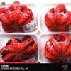 CD I:CUBE - Stereo Pictures Vol. 04 8345106322 MK2 Music 2004 France Dance & Electronica Used