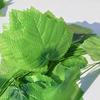 12 Pcs 2M Artificial Hanging Vine Plant Leaves Plastic Home Garden Wall Wedding Decoration