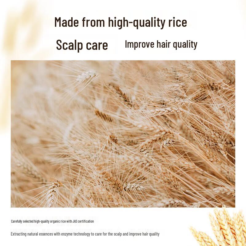 ASAKA Rice Ferment Scalp Care Volumizing Oil Control Shampoo