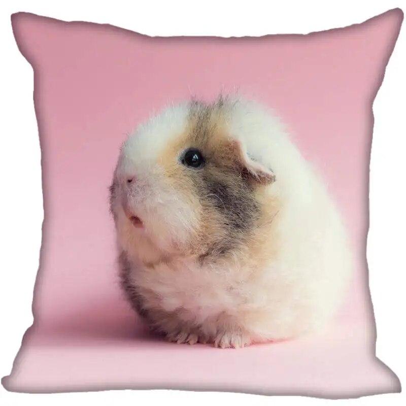 Living Room Pillowcase Guinea Pig   Modern Home
