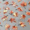 Nail Art Stickers Ins Autumn Thanksgiving Maple Leaf Shell Light Maple Leaf Gold Leaf Nail Sticker