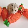 Kaninchen Kauspielzeug Kaninchen Leckerli Natürliche Luffa Karottenförmiges Spielzeug Sicher für Kaninchen Chinchilla Zähne Reinigen Mahlen