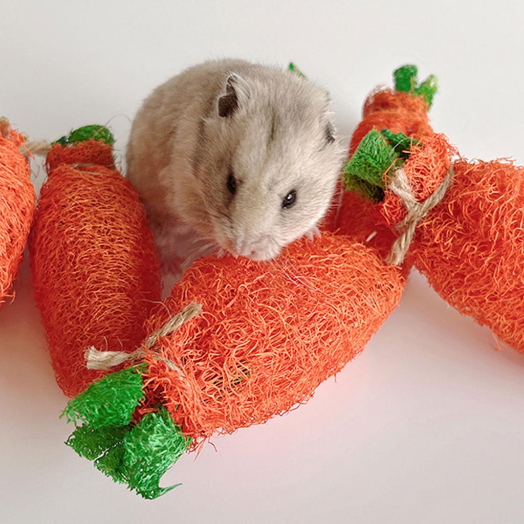 Kaninchen Kauspielzeug Kaninchen Leckerli Natürliche Luffa Karottenförmiges Spielzeug Sicher für Kaninchen Chinchilla Zähne Reinigen Mahlen