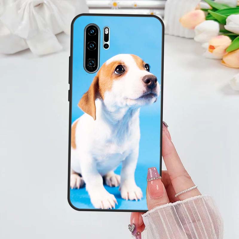 Jack Russell Terrier Dog Case For Huawei Nova 5T 3i 7i 8i 11i 10 9 SE Y60 Y61 Y70 Y90 P20 P40 Lite P60 P30 Pro Cover