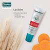 Himalaya Lip Balm 10g Moisturizing Protection For Dry Chapped Lips In Cold Wind Conditions With Nourishing Oils
