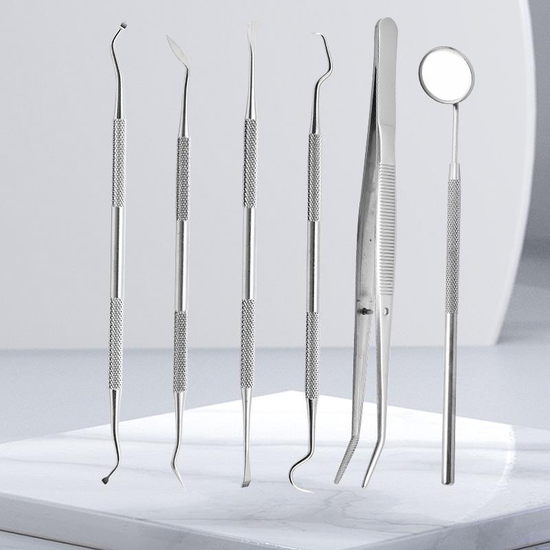 Stainless Steel 6-Piece Oral Care Set: Teeth Cleaning & Tartar Removal Tools