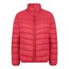 2024 Women's Slim Fit Lightweight Down Jacket - Autumn/Winter, Short, 90% White Duck Down, Stand Collar, Korean Style, Plus Size Available.