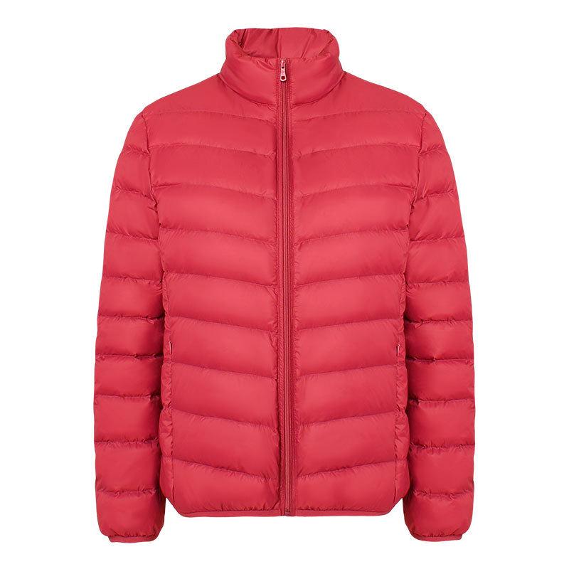 2024 Women's Slim Fit Lightweight Down Jacket - Autumn/Winter, Short, 90% White Duck Down, Stand Collar, Korean Style, Plus Size Available.