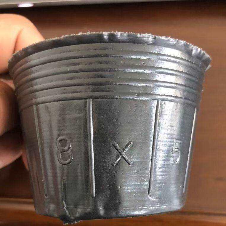 Disposable Plastic Seedling Pots for Gardening and Planting
