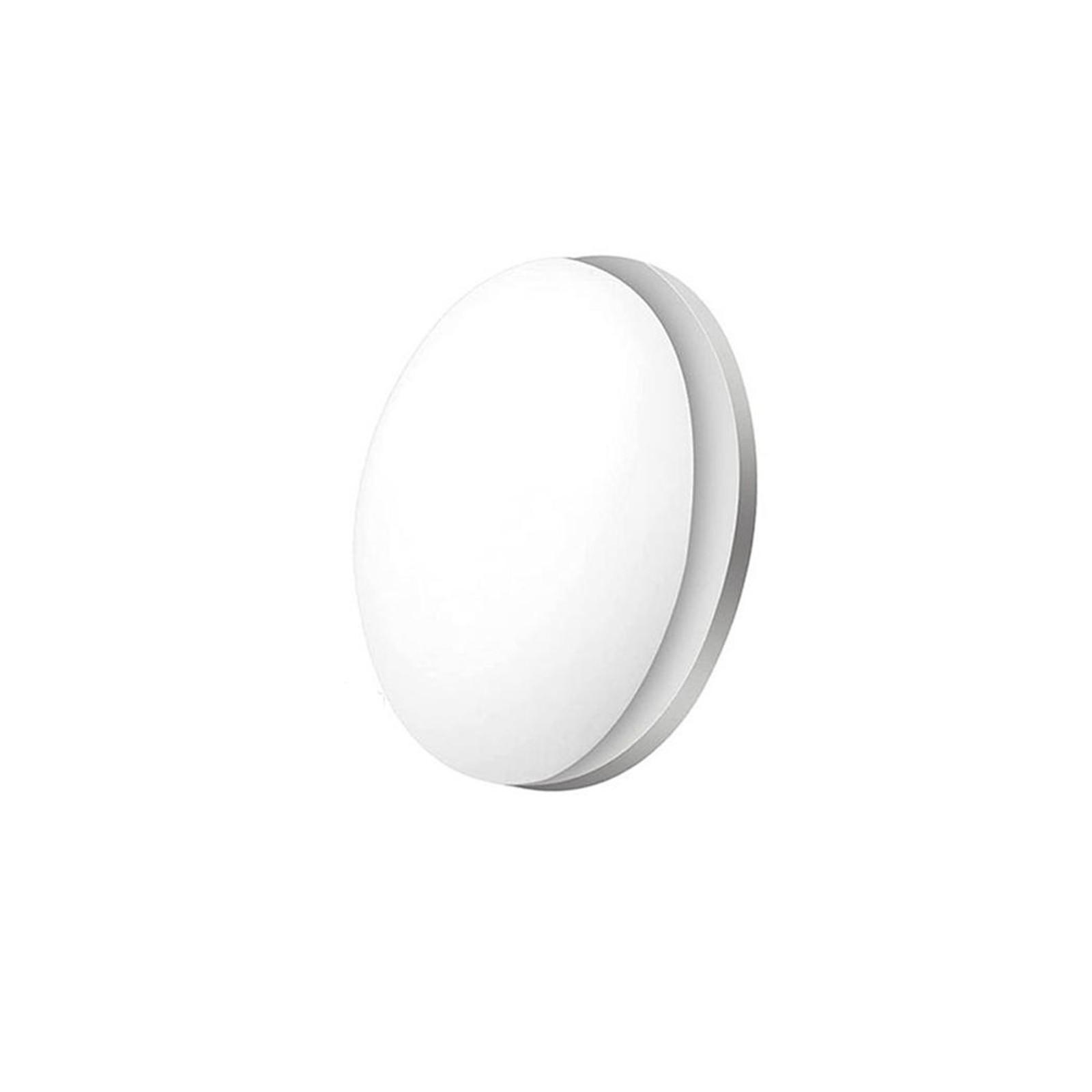 

Утяжелители для штор, утяжелители для душевых занавесок, магниты, утяжелители для скатертей и штор, ветрозащитные подвески с фиксированной магнитной пряжкой 10 шт. + акриловая коробка One Size белый