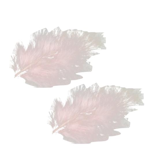 2Pcs Feather Hair Clip Faux Pearl Rhinestone Hairpin Party Headwear Headdress