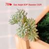 Realistic Flocked Succulents: Small Artificial Green Plant Wall Decor for Interiors