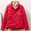 Chice leichte Daunenjacke für Damen - Trendiger Herbst/Winter Stehkragen Bestseller