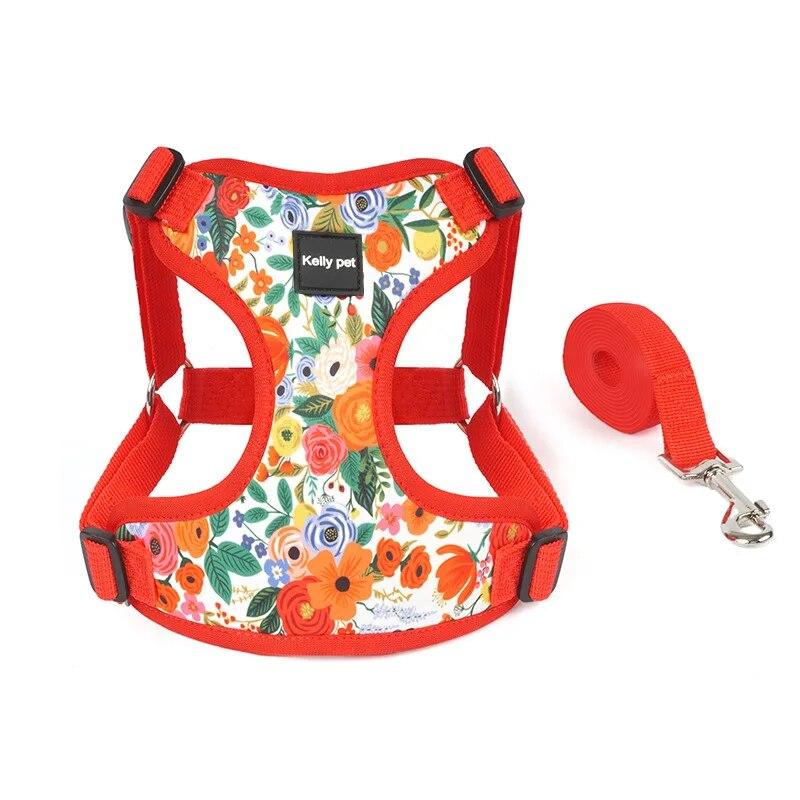 Hunde- und Katzengeschirr für kleine und mittelgroße Hunde, Geschirr- und Leinen-Set, atmungsaktive Welpenweste, Französische Bulldogge, Chihuahua, Brustgurt, Heimtierbedarf