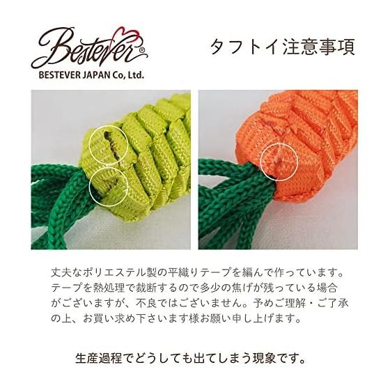 [LOVE PETS by BESTEVER] Love PETS by BESTEVER Pet Toy Tough Toy Carrot XL Carrot XL 47232
