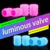 Automotive Tire Valve Cap Universal Waterproof Reusable Washable Detachable Anti-corrosive Luminous Caps Accessories