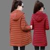 Women's Winter Pure Color Simple Jacket Commuting Temperament Coat