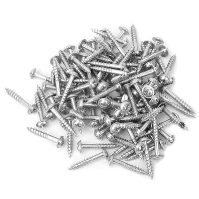 100 Pcs Zinc Plated M425mm Oblique Self Tapping Screws Set Mechanical Electronic Tool