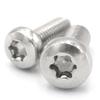 Bingyu 304 Stainless Steel Tamper-Proof Torx Pan Head Screw
