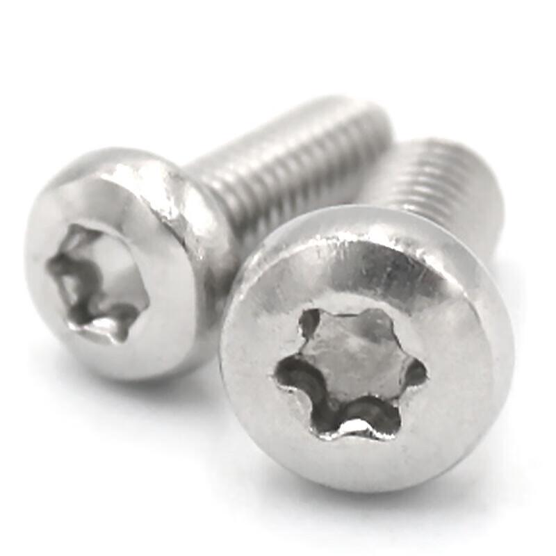 Bingyu 304 Stainless Steel Tamper-Proof Torx Pan Head Screw