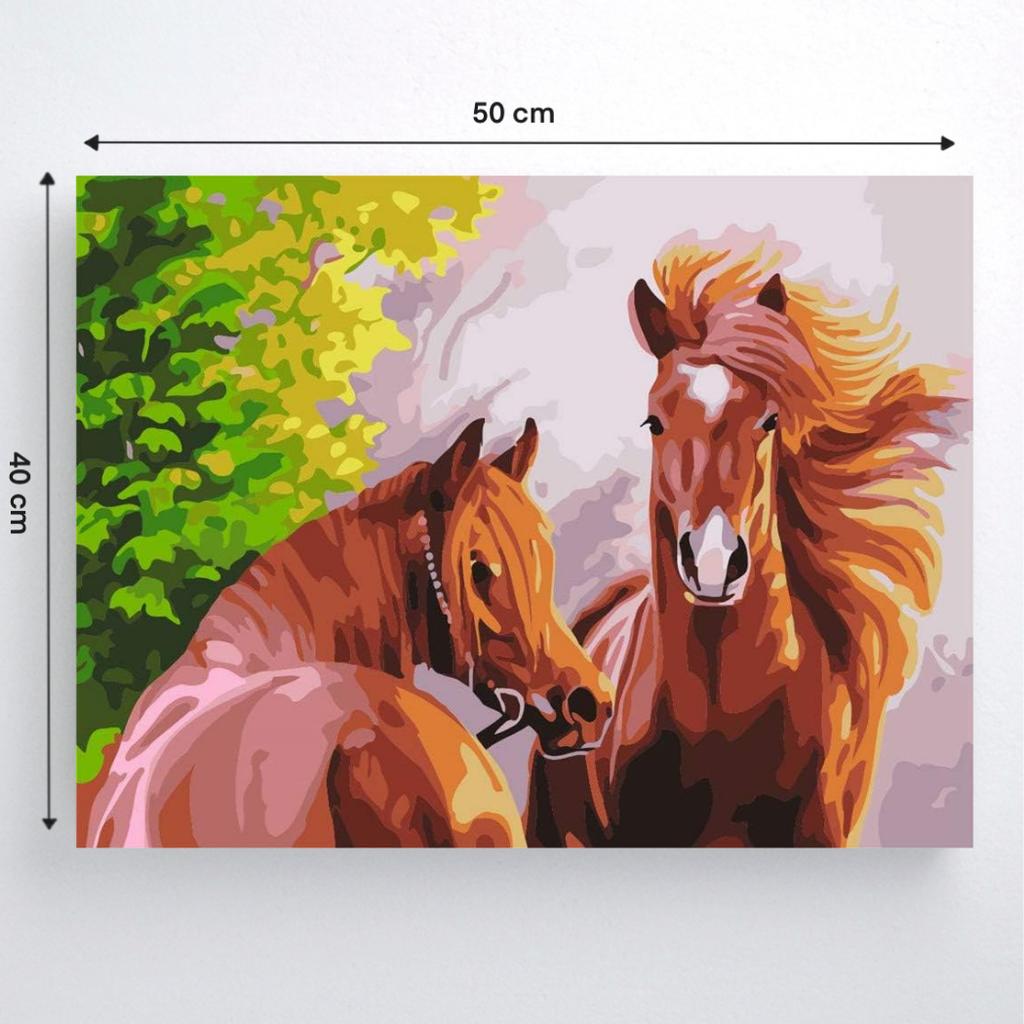 Malowanie Po Numerach Z Ramą Obrazy Do Malowania - Dzikie Konie 50X40 Cm