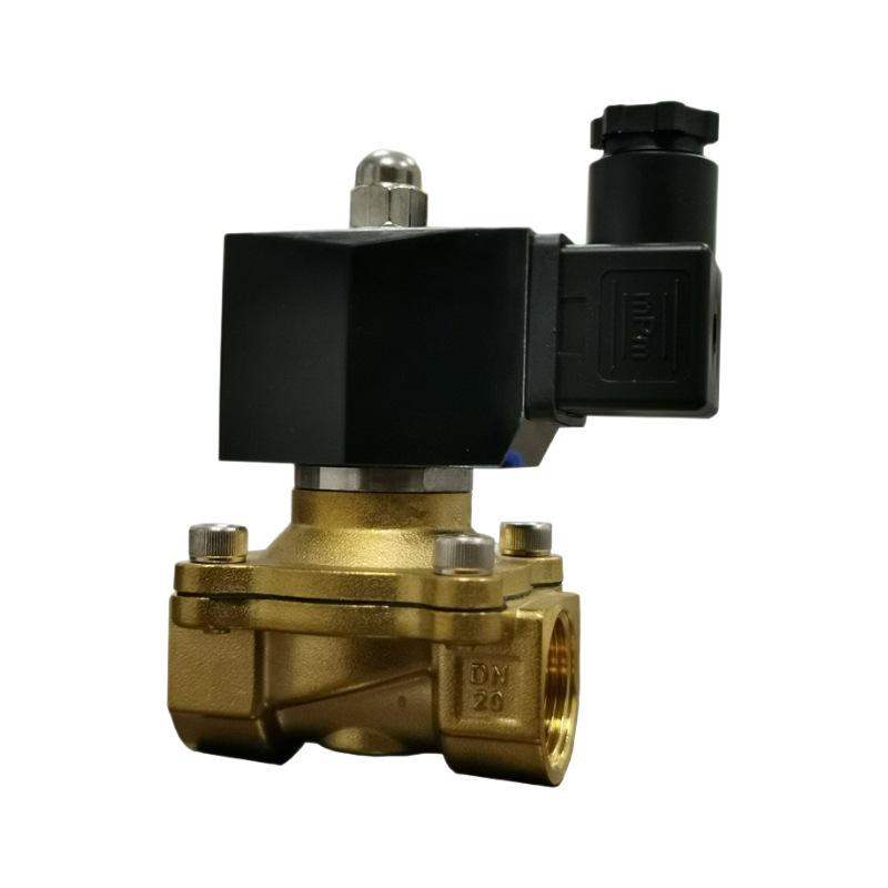 Premium Zero Pressure Start Diaphragm 2W Series Brass Water Solenoid Valve for Fountains