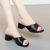 Fashion Women Slipper's 2025 Ladies Summer Slippers Shoes Women High Heels Fashion Female Sandals Genuine Leather Summer Shoes