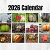 Natural Bottom Calendar, 2026 Planning, Fun Paper Calendar, Gifts For Adults And Children