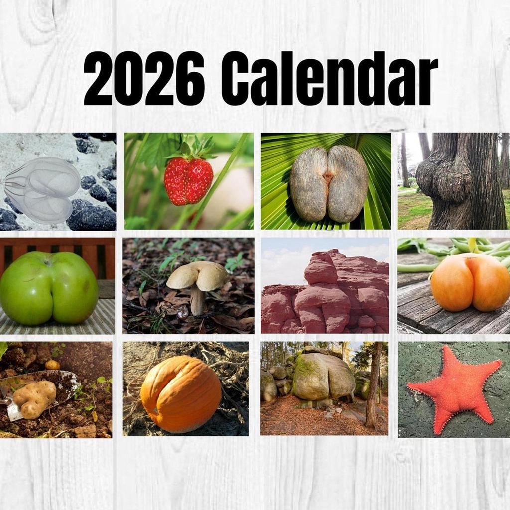 Natural Bottom Calendar, 2026 Planning, Fun Paper Calendar, Gifts For Adults And Children