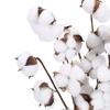 Bulk Branches Home Farmhouse Decor Floral Display Vase Fillers 40cm