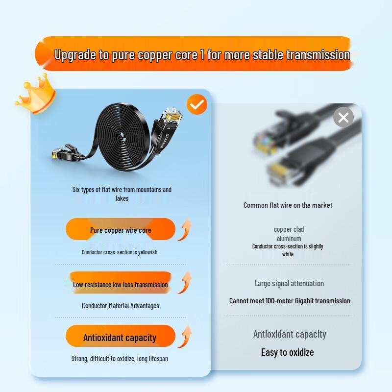 Shanze Category 6 Flat Ethernet Cable