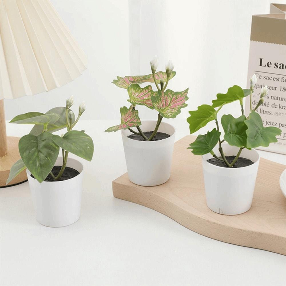 Green Green Plant Potted Greenery Desktop Ornament High Quality Artificial Grass Bonsai  Windowsill