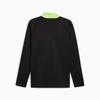 Men's Puma INDIVIDUALLIGA 1/4 ZIP sweatshirt black 65951502 r M