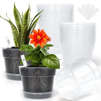 Set of 15 Transparent No. 5 Planter Pots with Drainage Holes, Bottom Netting, and Saucers for Houseplants, Succulents, and Cacti, Prevents Root Rot, R