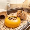 Ceramic Ferret Feeding Bowl Anti-Spill Guinea Pigs Food Dish Simple Pet Food Bowl  Pet Snack