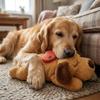Aiuto per il Sonno Cane Sollievo Ansia Cuscino Peluche Morbido Battito Cardiaco Cucciolo Peluche Casa Sonno