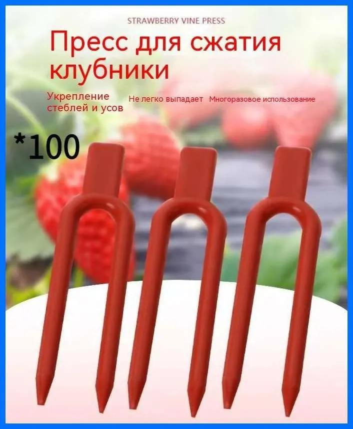 

100 Strawberry Planting Forks, 5cm Each One Size