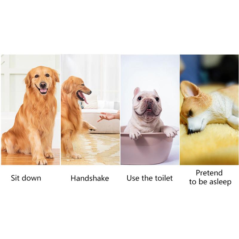 Interactive Sound Clicker Trainer For Thumb Training No Battery For Dogs Cats Positive Reinforcement Train