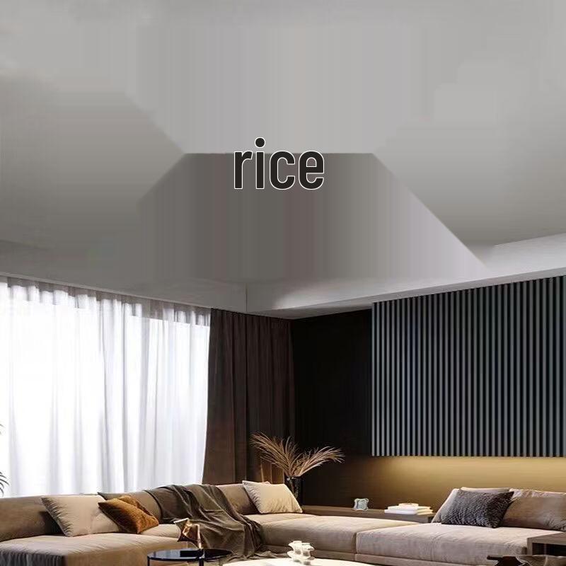 Modern Nordic Style Ceiling Fan Light