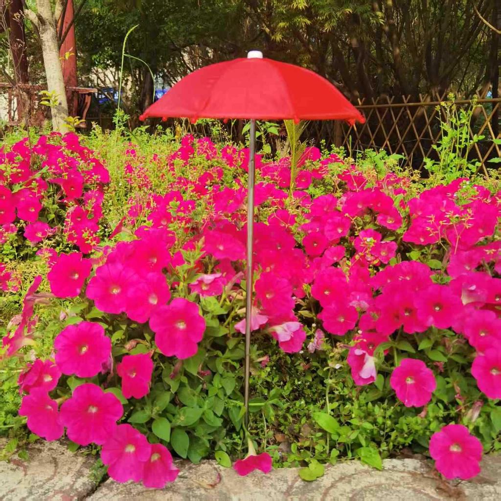 Plant & Flower Shade: Retractable Outdoor Stainless Steel Umbrella for Succulents, Bonsai, and Potted Plants.
