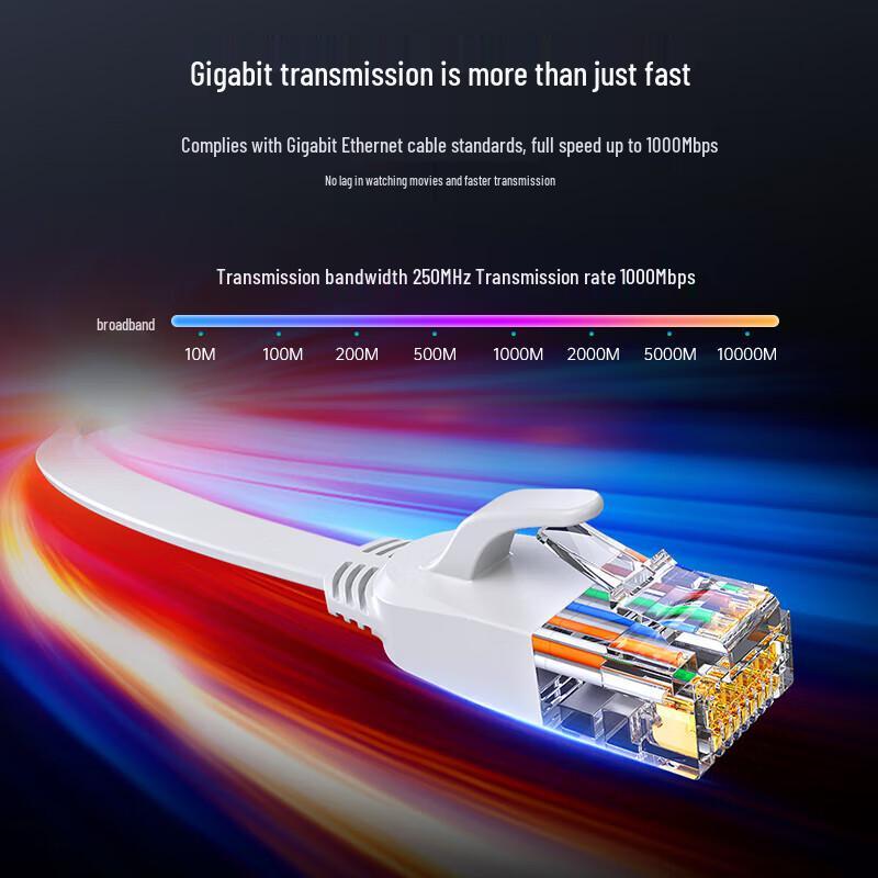 Biya Zi CAT6 Flat Gigabit Ethernet Patch Cable