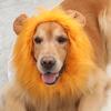 Lion modelingový klobouk Pet Paruka Čepice Zima Podzim Pokrývka hlavy pro velkého psa Pratelné Cosplay oblečení pro mazlíčky Lion Mane Pet Kostým na párty