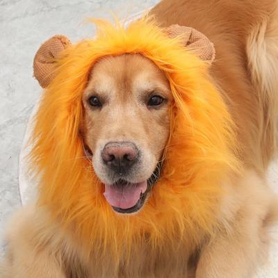 Yousheng Lion Modelling Hat Pet Wig Cap Winter Autumn Large Dog Headwear Washable Pet Cosplay Outfits Lion Mane Pet Costume for Parties